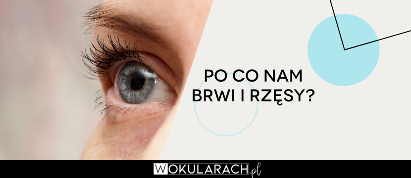 Po co nam brwi i rzęsy?