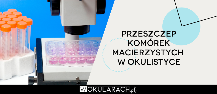 Przeszczep komórek macierzystych w okulistyce