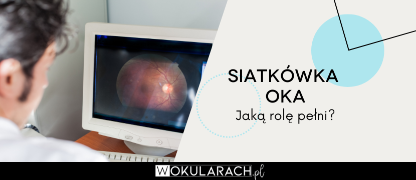 Siatkówka oka - jaką rolę pełni?