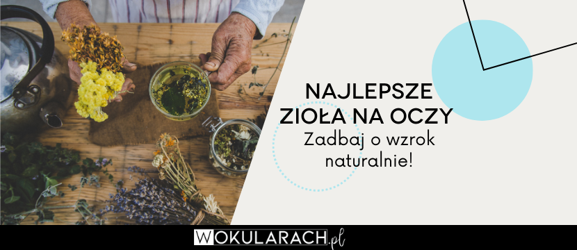 Najlepsze zioła na oczy – zadbaj o wzrok naturalnie!