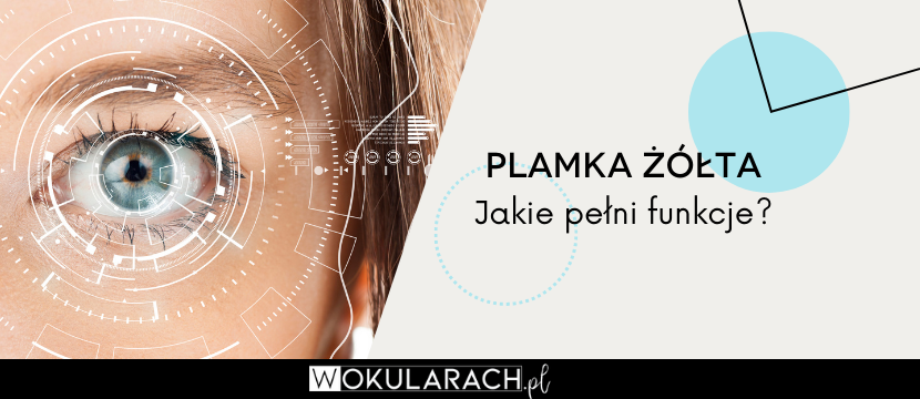 Plamka żółta – czym jest? Jakie funkcje pełni?