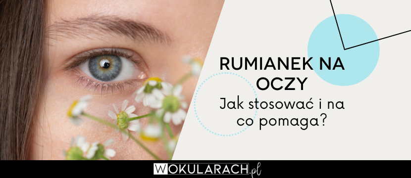 Rumianek na oczy – jak stosować i na co pomaga?