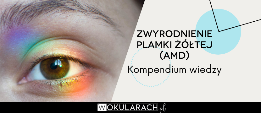 Zwyrodnienie plamki żółtej (AMD) – kompendium wiedzy